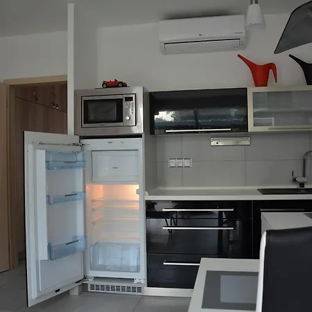 Apartment Duo Dacice
