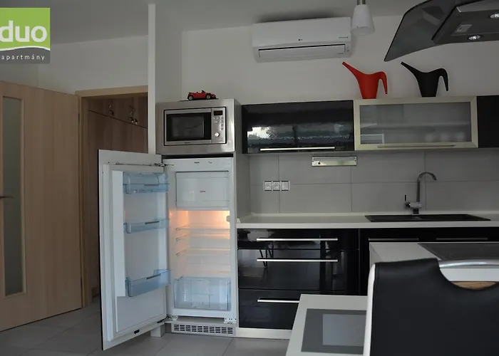 Apartment Duo Dacice