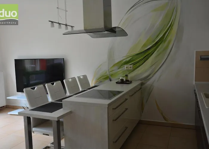 Apartment Duo Dacice